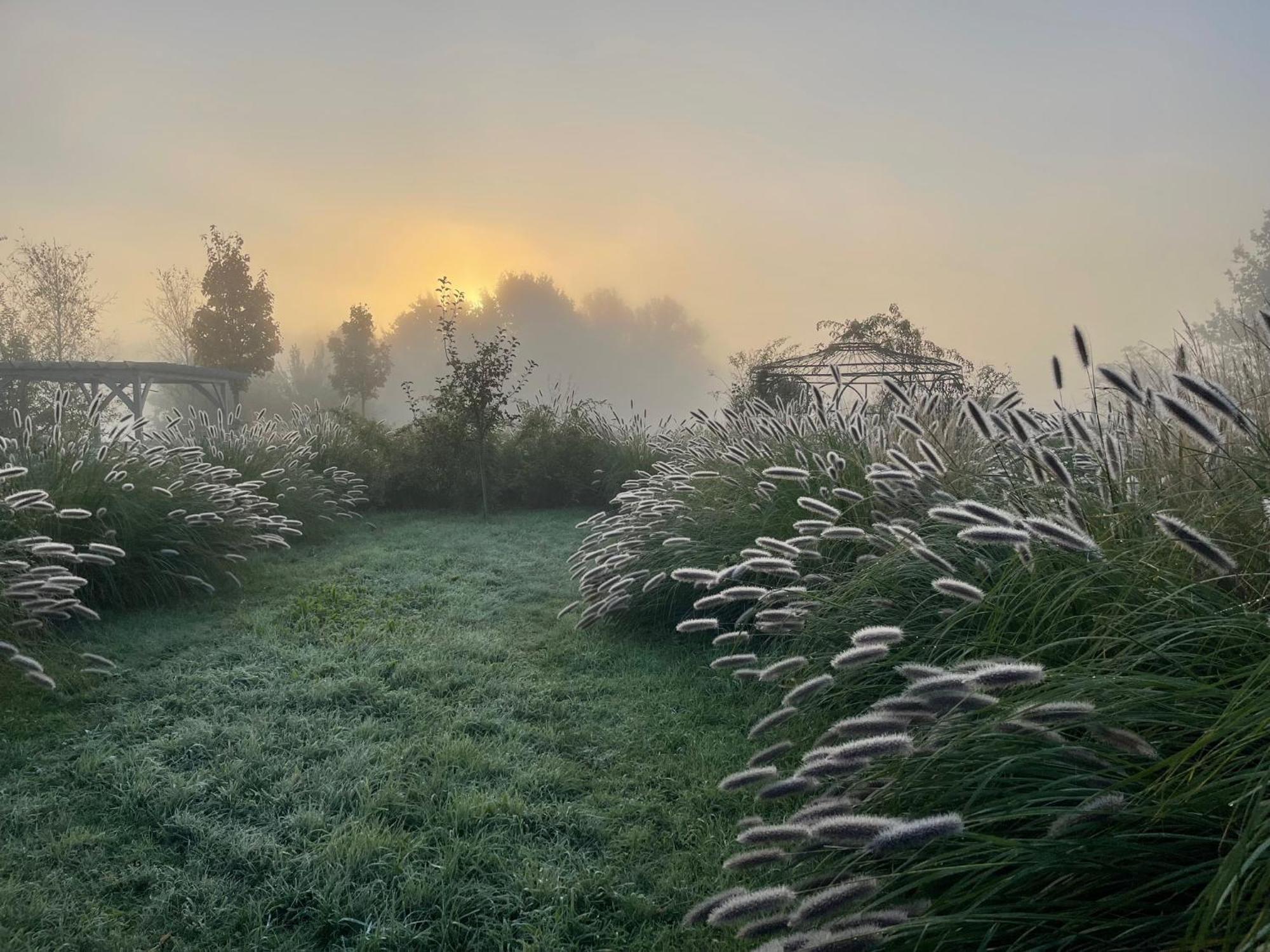 Alwine - Landhaus An Den Spreewiesen Rietz Neuendorf Bagian luar foto