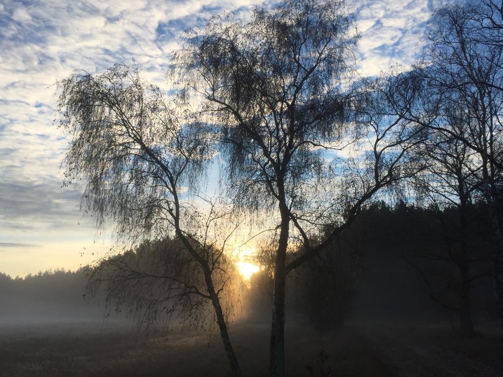 Alwine - Landhaus An Den Spreewiesen Rietz Neuendorf Bagian luar foto
