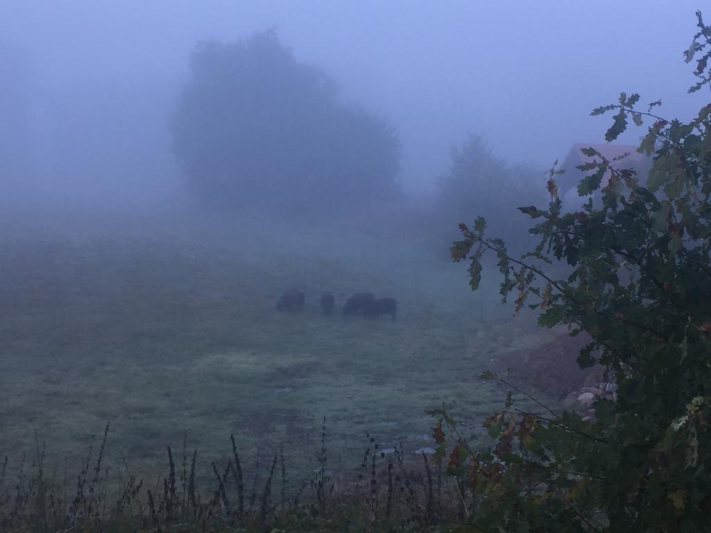 Alwine - Landhaus An Den Spreewiesen Rietz Neuendorf Bagian luar foto